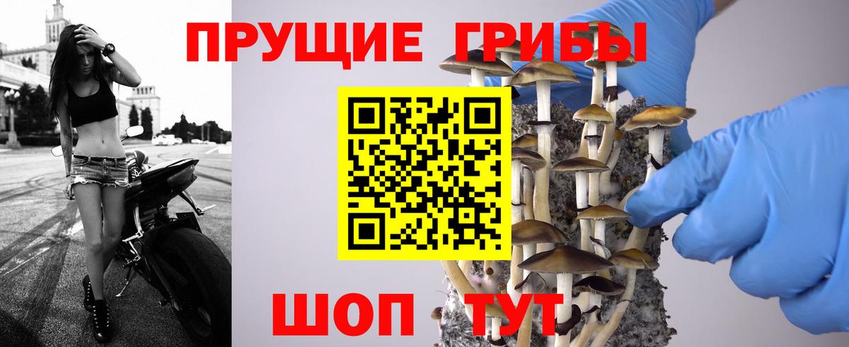 Галлюциногенные грибы Magic Shrooms Дмитров
