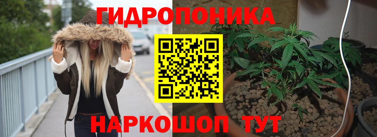 Шишки марихуана марихуана Дмитров